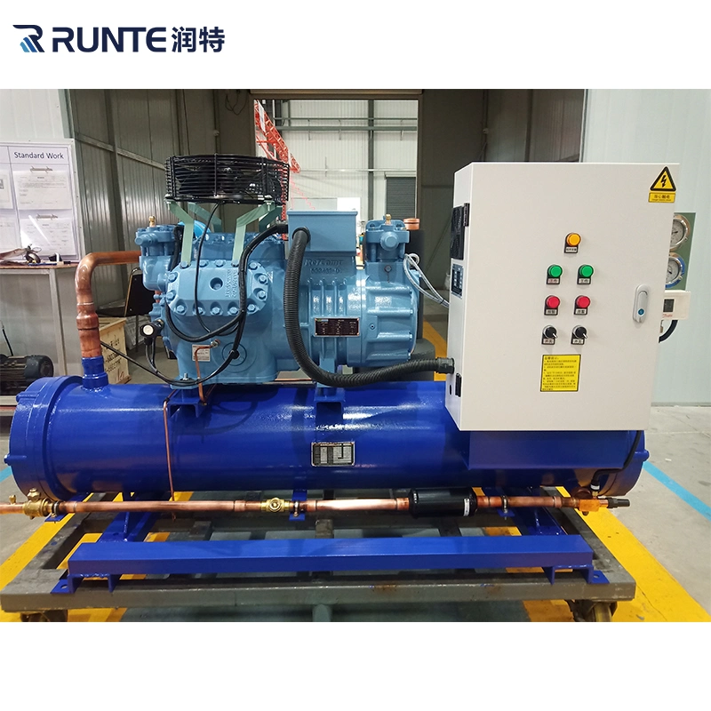 Runte Brand Walk in Cooler Factory Price Meat Blast Frozen Foods Freezing Room Cold Storage Single Compressor Condensing Unit with Bizter Compressor