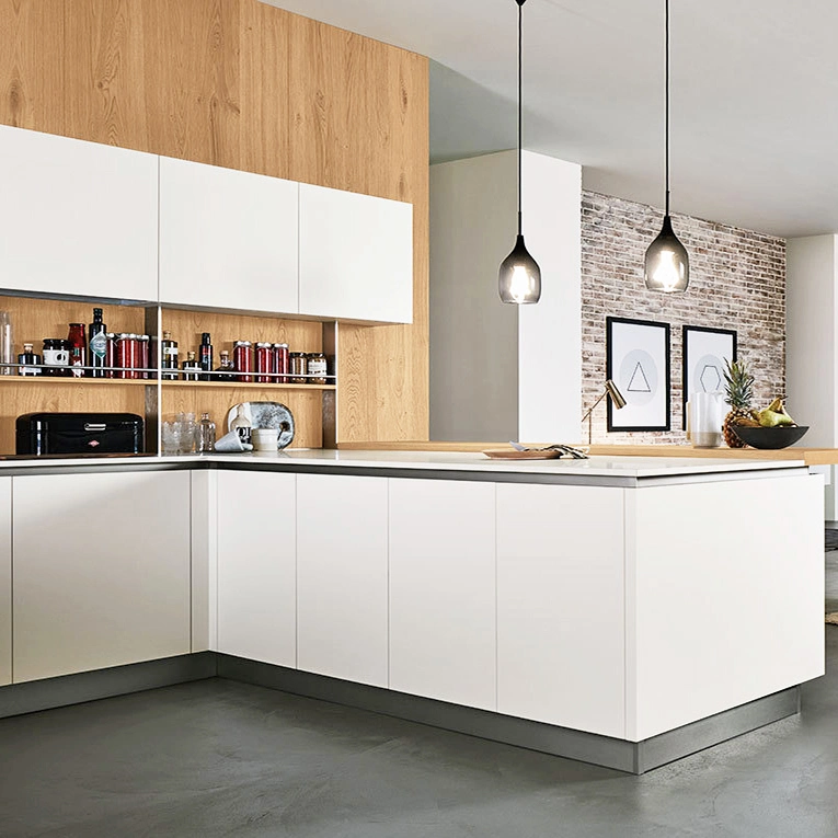 Modular Kitchen Cabinets with Rta Shaker Design Finish