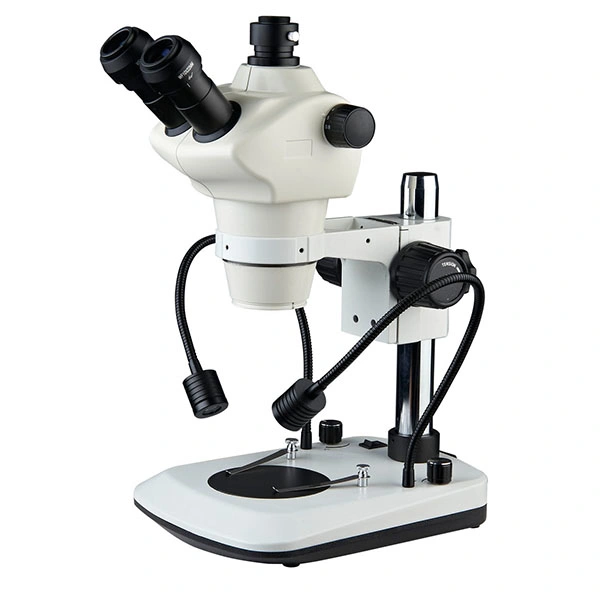 St8050t-B8ls Stereo Zoom Microscope