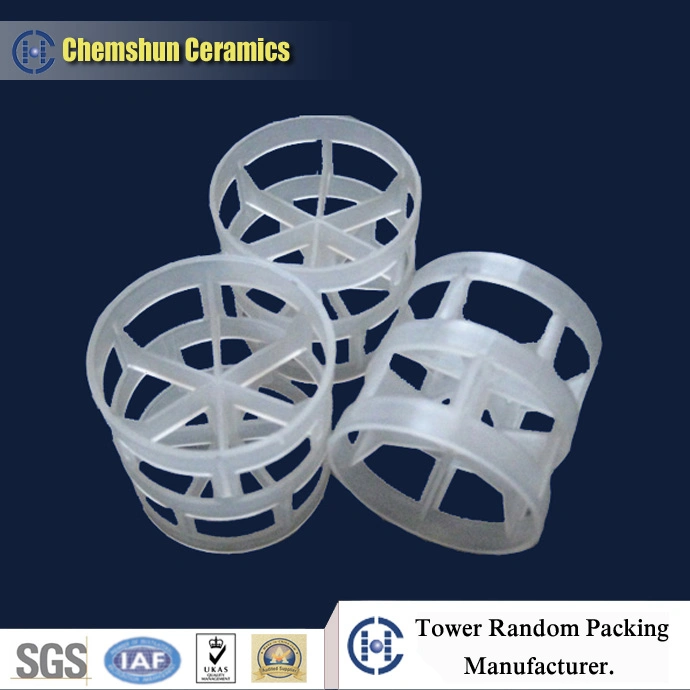 16, 25, 38, 50, 76, 100mm Plastic Pall Ring for Separation From China Manufacturer