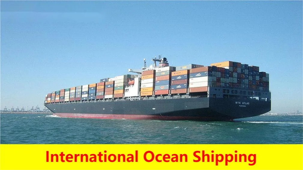 خدمة الشحن البحري/الشحن البحري من الأمازون Fba International Logistics Sea/Ocean Freight/Shipping Service من الصين إلى الولايات المتحدة الأمريكية، لوس أنجلوس