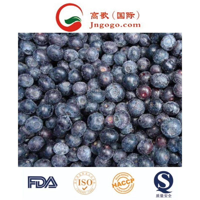 New Crops Frozen Blueberry IQF