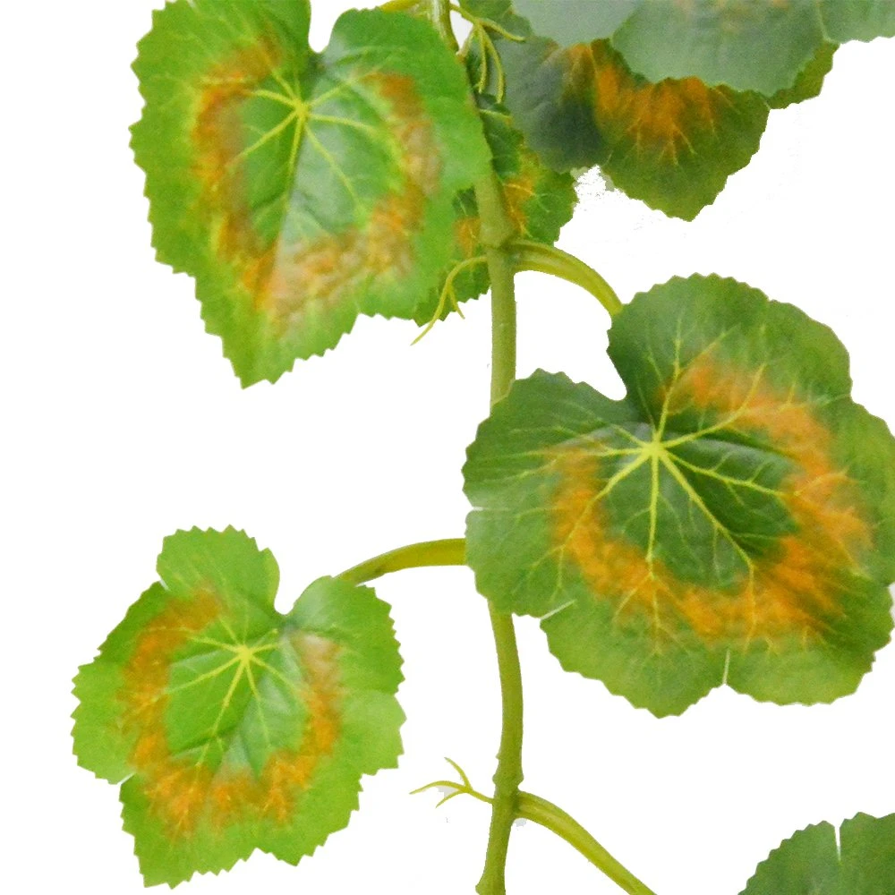 Artificial Green Vines Begonia Leaf F Vines for Home Decoration