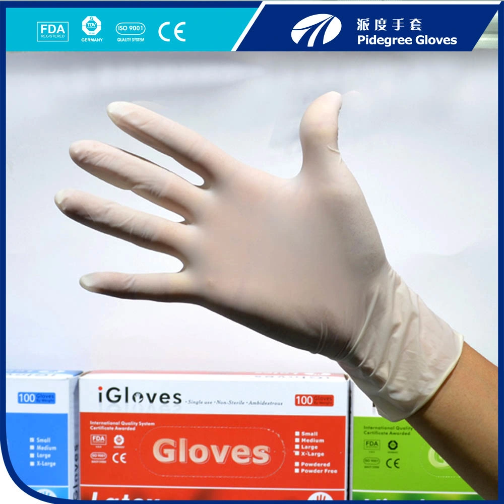 Pidegree Good Quality Disposable Latex Gloves Micky White Powder