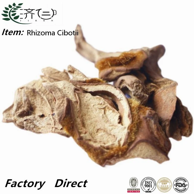 Factory Best Price Pure High quality/High cost performance Rhizoma Cibotii Extract Chemical Herbal Medicine