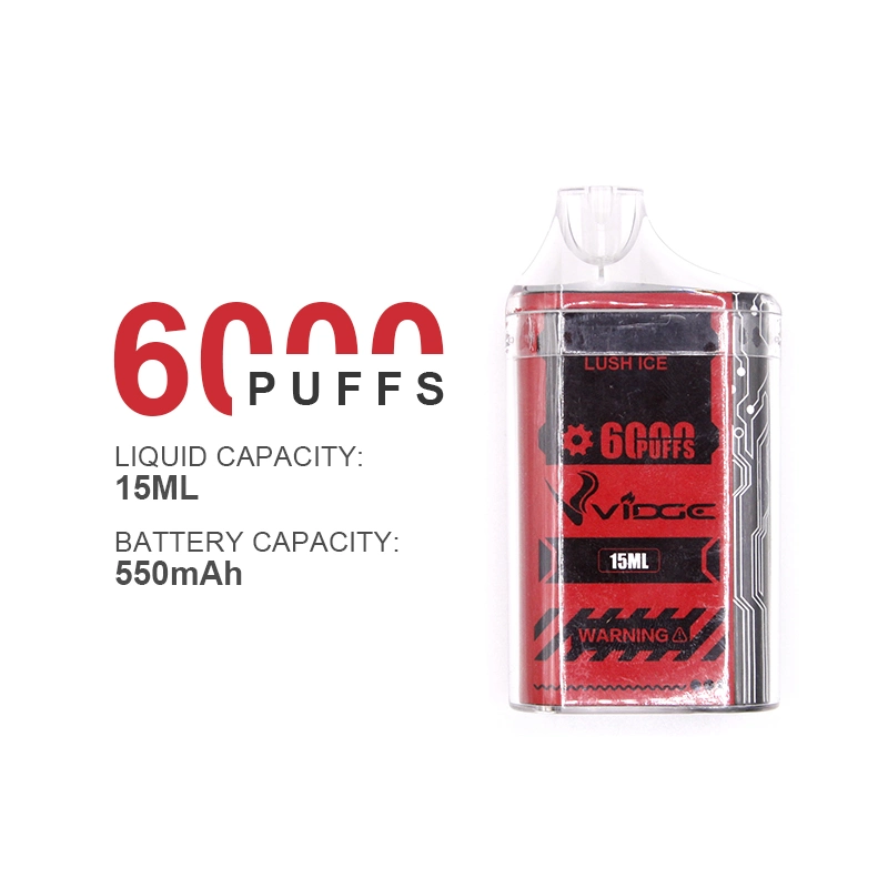 Sabores a medida original 6000 Puffs 2% 5% 550mAh Tipo C recargable E-cigarrillo desechable