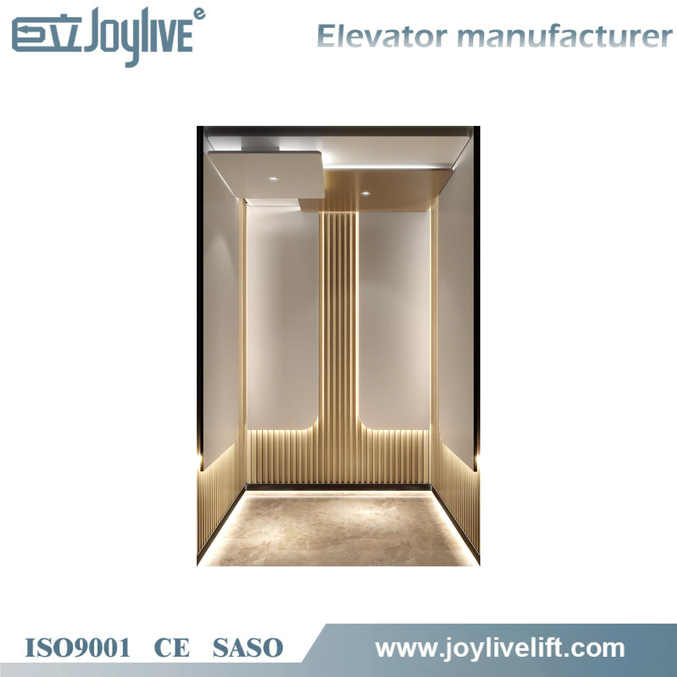 Rml Load 1000 Kg General Customized Passenger Residential Elevator Lift with Cheap Price