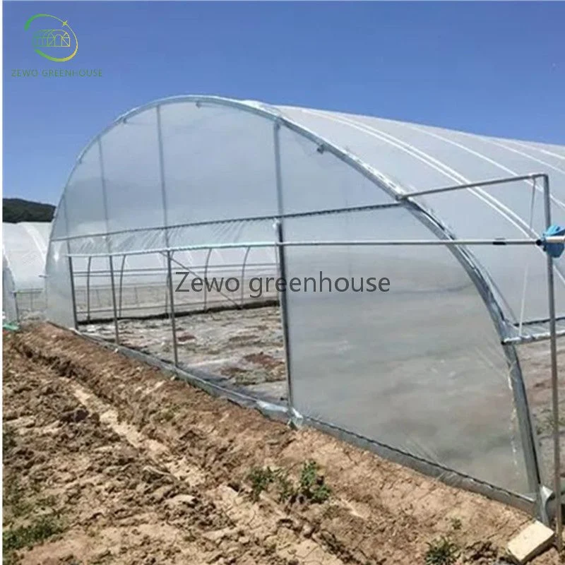 Hot Selling Single Span Solar Agriculture Greenhouse