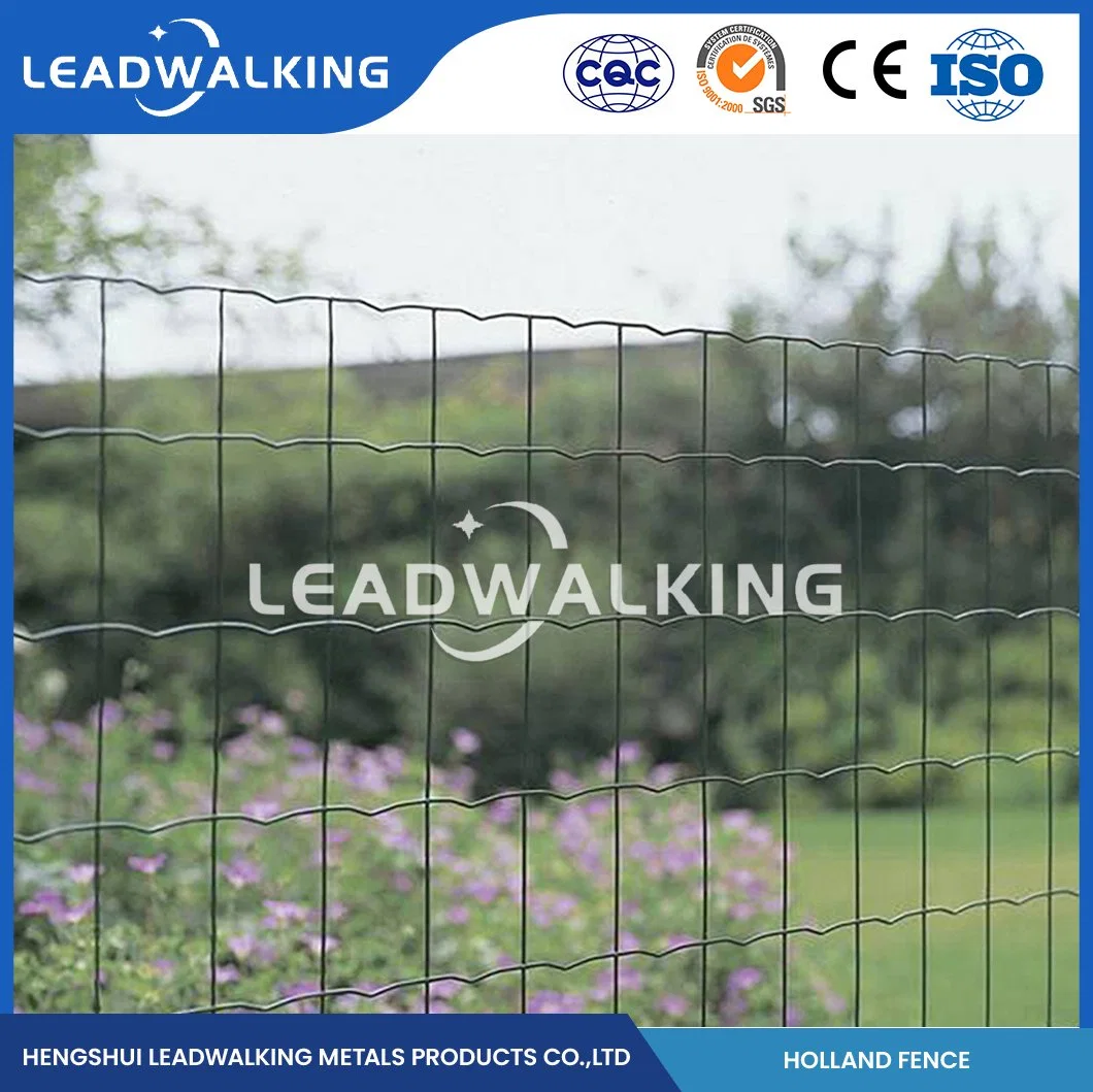 Leadwalking PVC enduit fil soudé Fabrication de maille haute qualité 3/4 pouces Treillis métallique soudé revêtu de PVC vert pour la protection des végétaux en Chine Filet de sécurité néerlandais