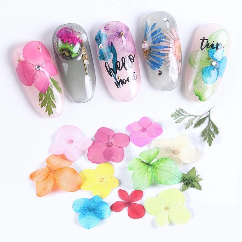 Manicure Dried Flower Nail Dehydration Lace Dry Flower Immortal 3D Solid Flower