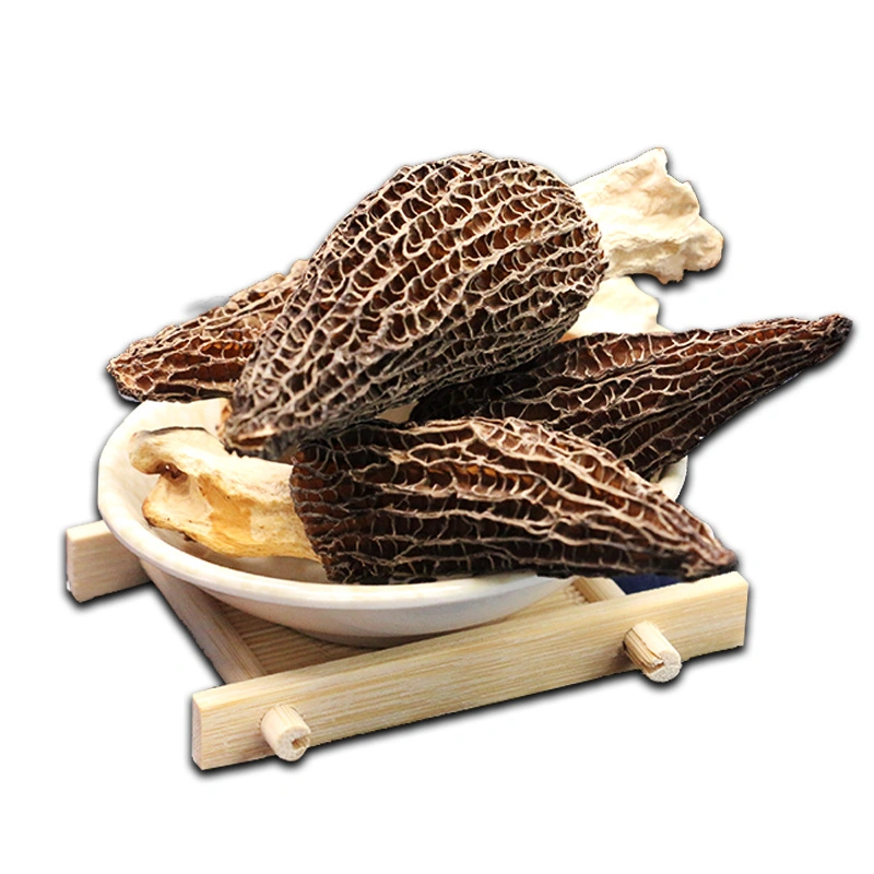 Venta caliente natural puro de alta calidad de alimentos orgánicos Setas Deshidratadas Morels Morel