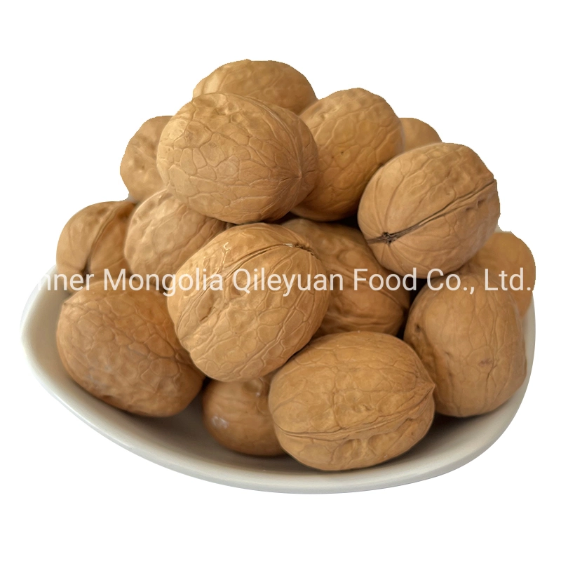 Factory Price Wholesale Chinese Dried Fruit Xier Walnut in-Shell