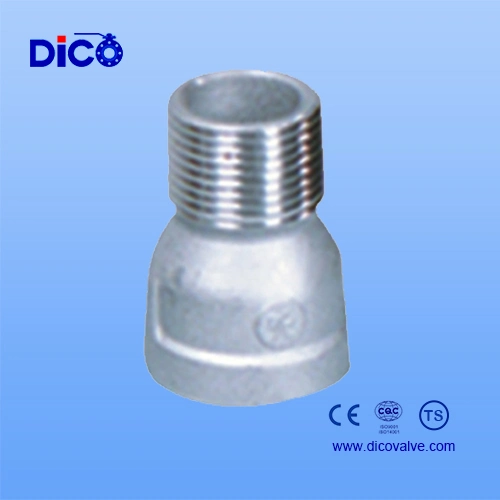 Stainless Steel Male/Gas Pipe Fitting