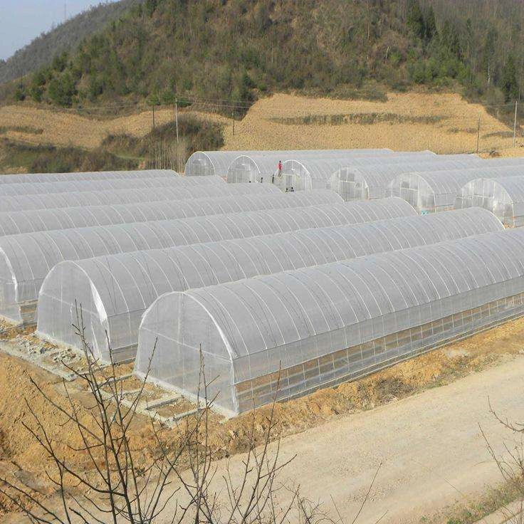 Film Plastic Fruits Single Span Tunnel Warm Greenhouse with Ventilation System for Vegetables Growing