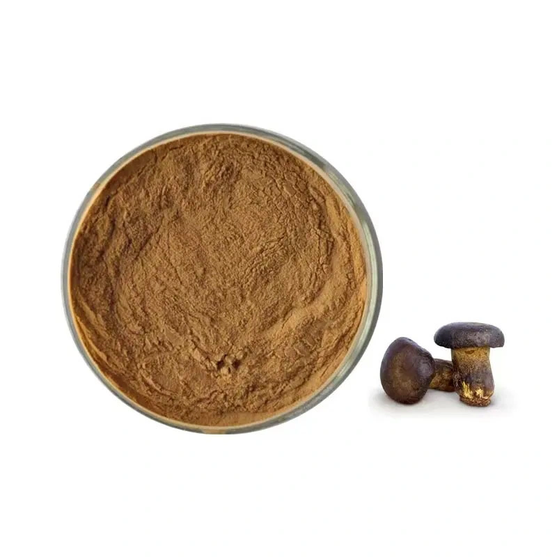 100% Pure Natural Boletus Edulis Extract 10: 1 Porcini Mushroom Extract Powder