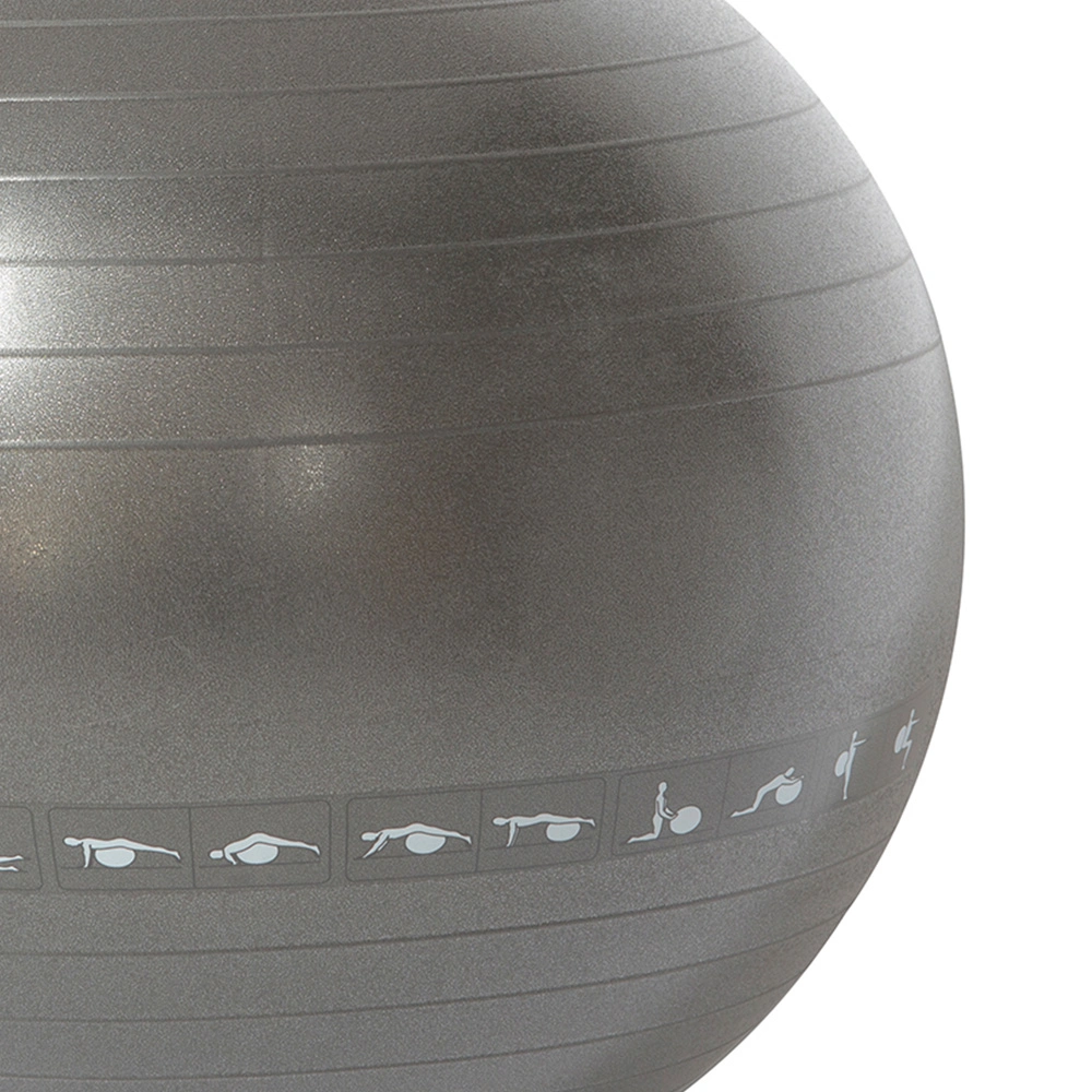 Exercise Ball for Workout Pilates Stability