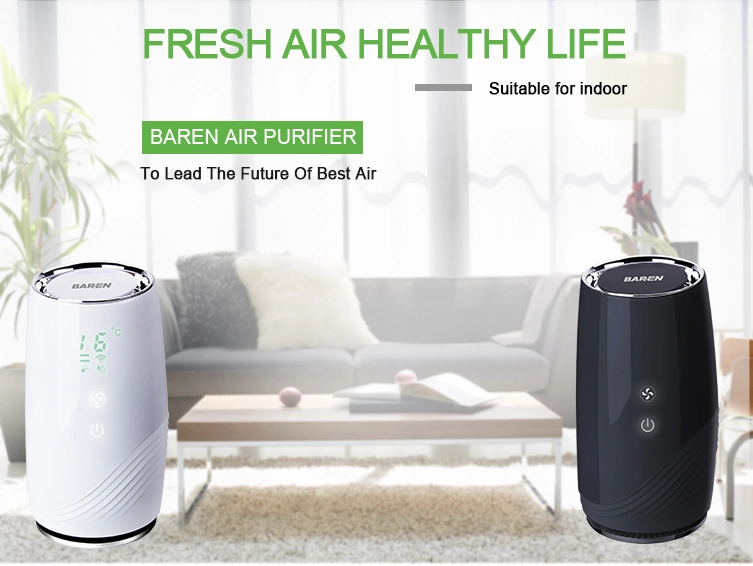 Ture HEPA Filter Portable Negative Ion Car New Arrival Air Purifier