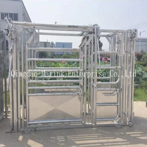 Hot Dipped Galvanised Cattle Squeeze Chute