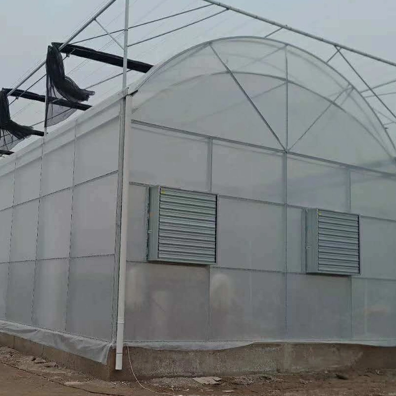 Arch Type Steel Structure Poly Film/PC Sheet Covered Greenhouse for Vegetables