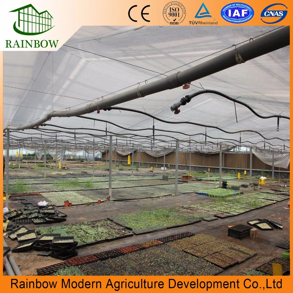 Greenhouse Water Saving Equipments Drip Irrigation System