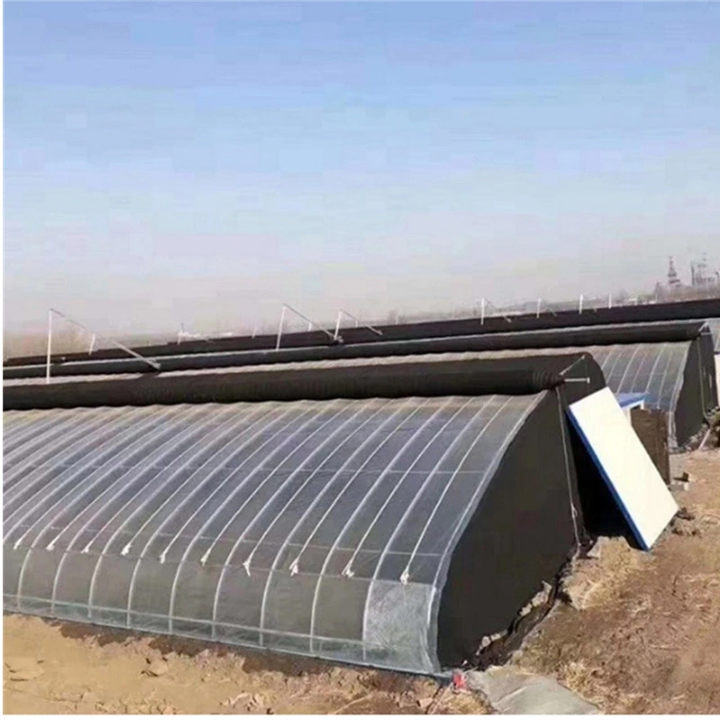 Modern High quality/High cost performance Hot Sale Solar Greenhouses From Vegetable Hometown for Sale