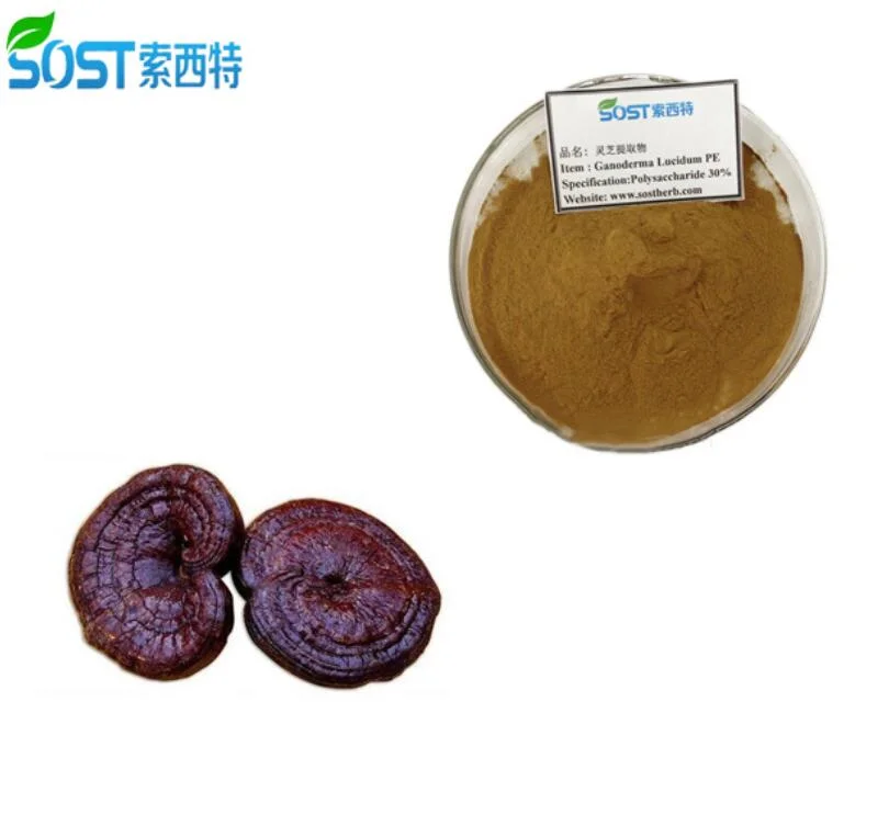 EU Organic high quality reishi mushroom powder