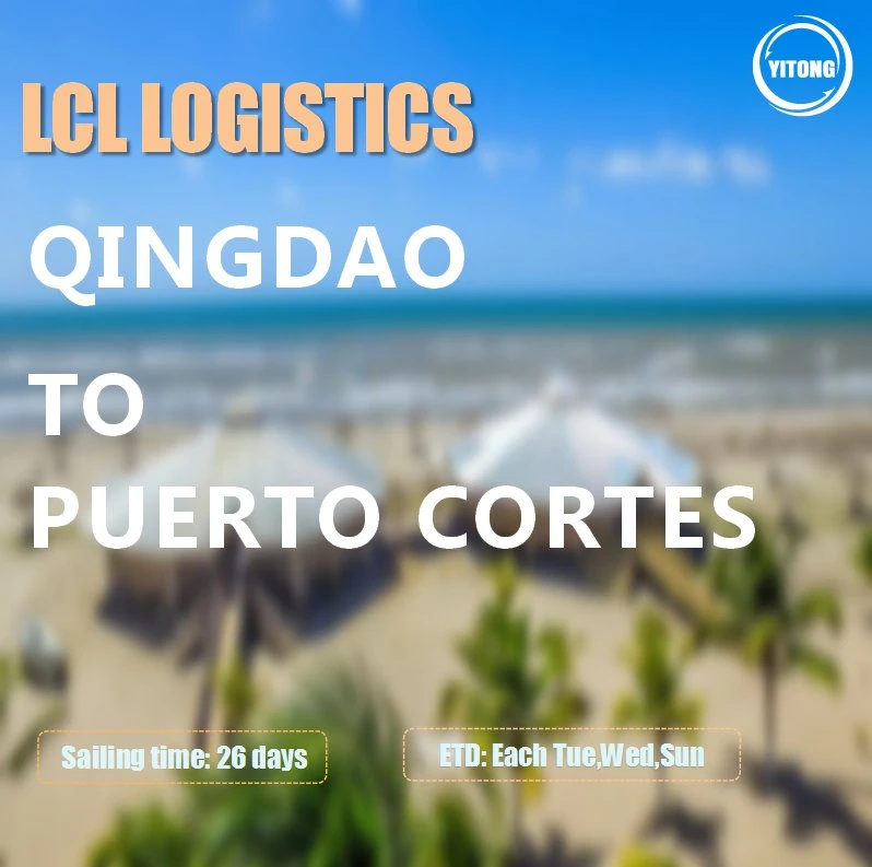 LCL Sea Shipping Rate From Qingdao Ningbo Shantou to Puerto Cortes Honduras