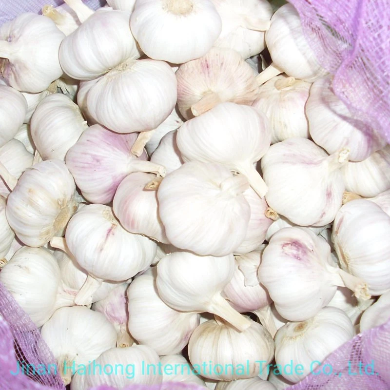 2020 New Crop High Quality White Fresh Garlic for Sale