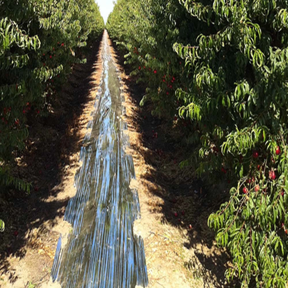 Película Mylar refletivo prata jardim agrícola cobrindo com efeito de película de alumínio aumentar efectivamente o crescimento de plantas de árvores de fruto