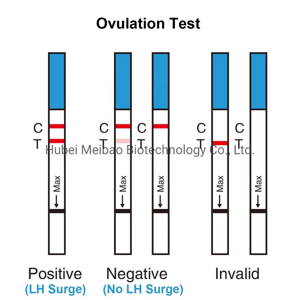 Poct Detection Kit for Lh Ovulation Test