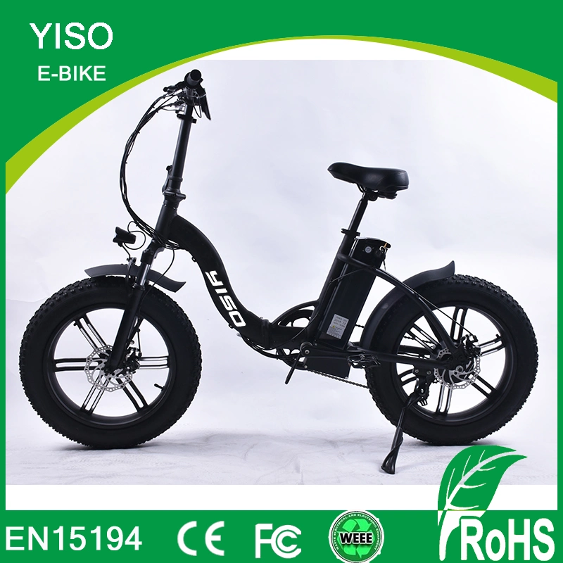 48V 10ah Panasonic Lithium Battery China Electric Bicycle