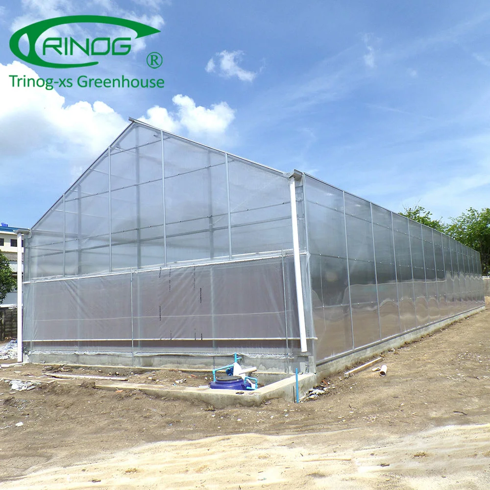 Single span PC panel greenhouse for research house