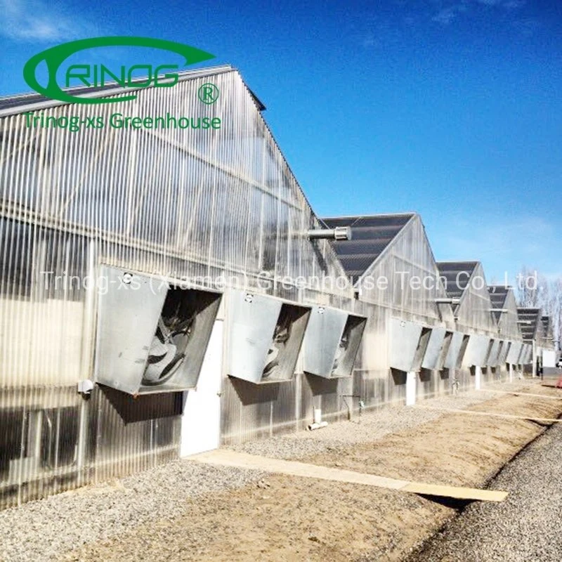 Trinog Greenhouse commercial used LED light deprivation medial plant greenhouses for medical industrial