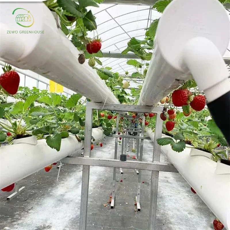 Good Price Vertical Farming Hydroponic Channel System and Nft Growing Systems for Greenhouse