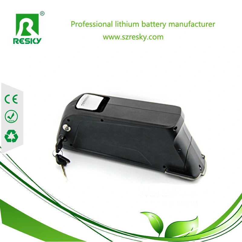 Bateria de 48 V e 10 a com USB para eBike Fat