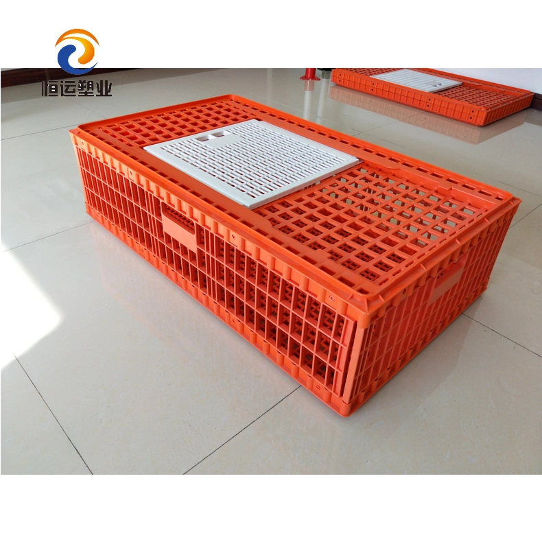 Caja de transporte de pollo vivo, jaula de plástico para aves de corral, jaula de plástico para palomas, caja para pollos de engorde y patitos.