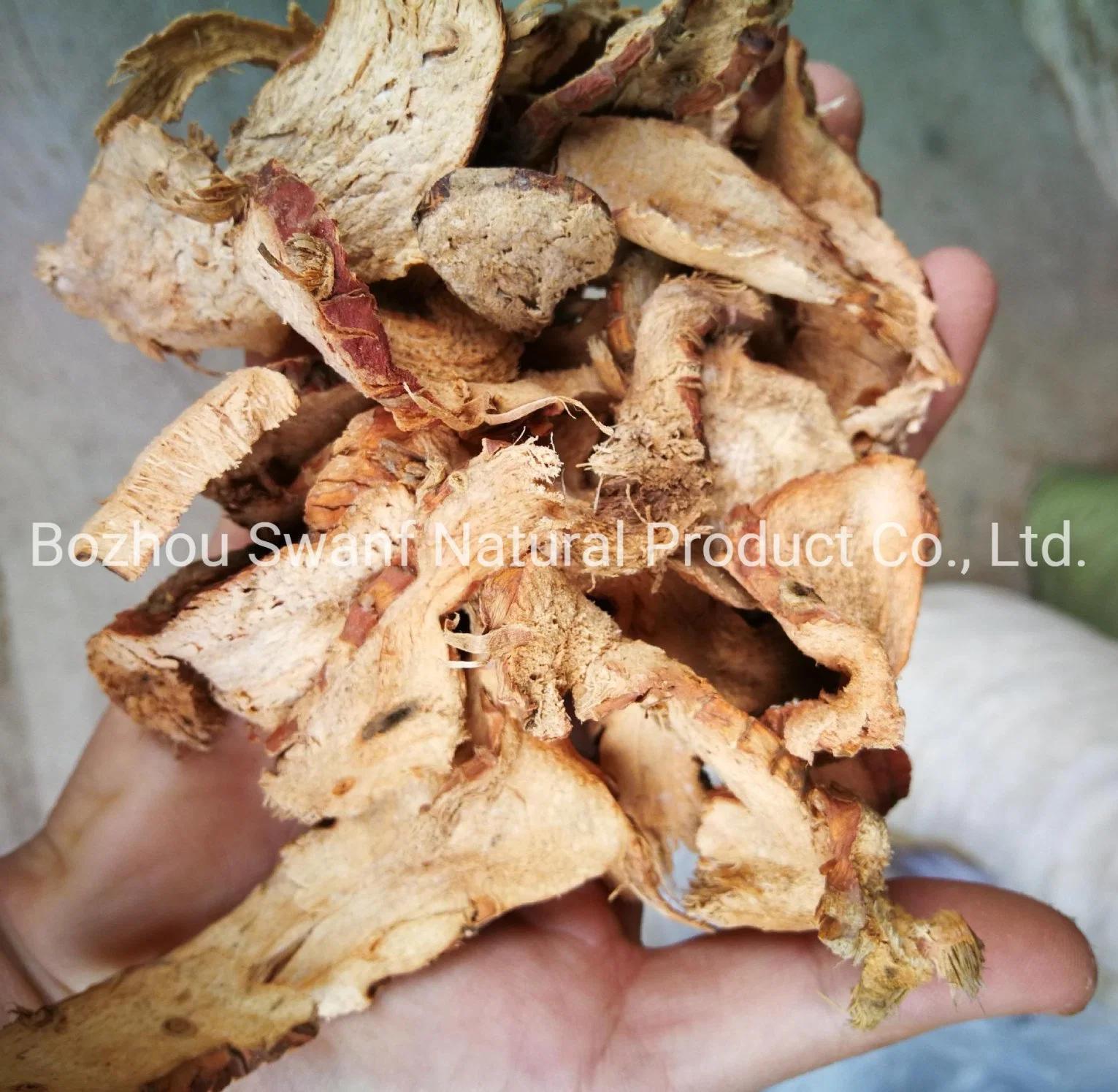 1kg High quality/High cost performance Herb Spice Natural Greater Galangal Rhizome Dried Raw Whole Alpinia Galanga Roots for Sale