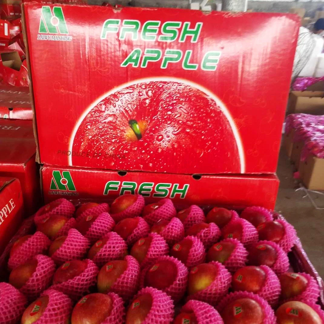 Fresh Delicious Tasty Paper Bag Red Gala Apple