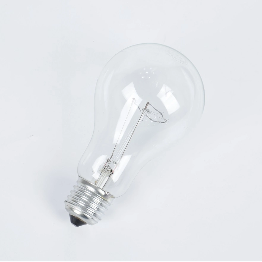 100 Watt Warm White Long Lasting Incandescent Bulb