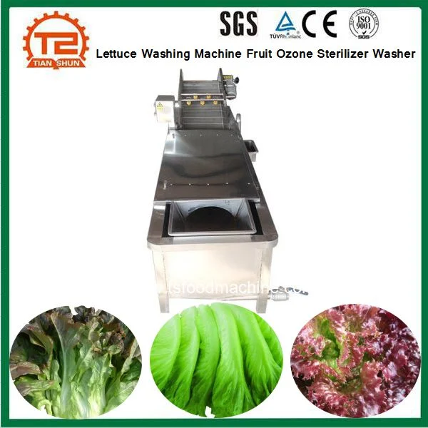 Commercial Lettuce Washing Machine Fruit Ozone Sterilizer Washer