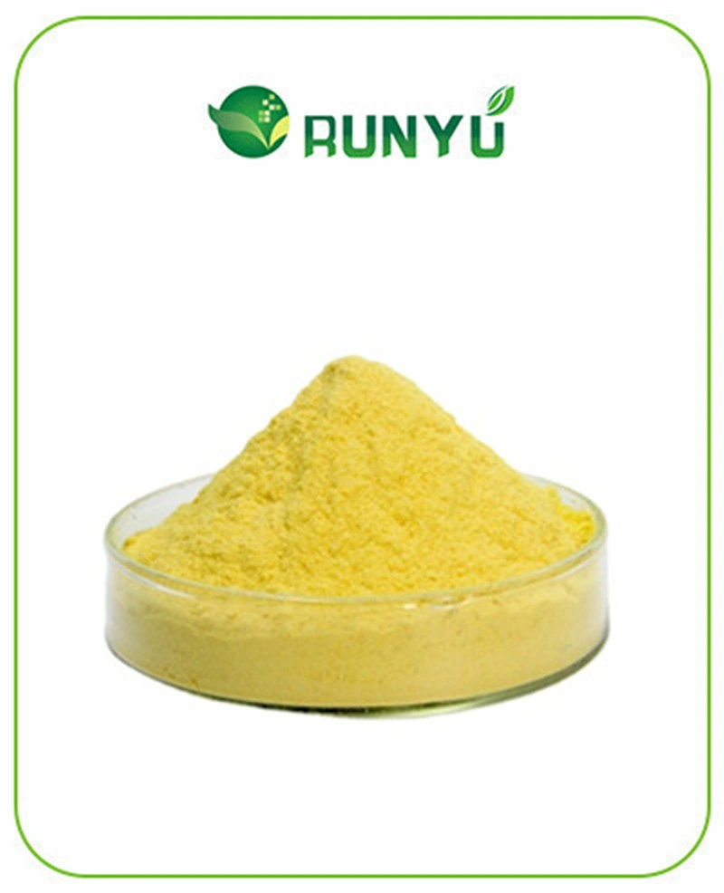 Factory Supply Cotinus Coggygria Extract Fisetin 50% Powder