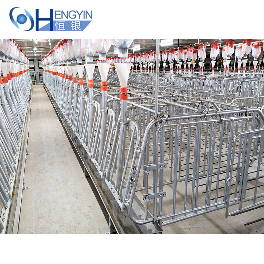 Eighty Percent Pig Farm Use Galvanized Pig Cages