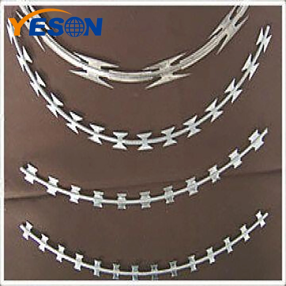 450mm Coil Diameter Concertina Razor Barbed Wire for Sale Steel Wire Galvanized