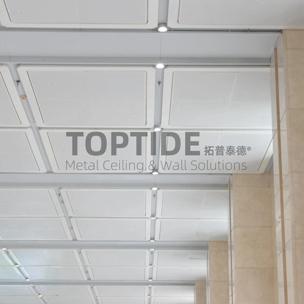 Light Aluminium Metal Cladding Commercial Building Ceiling Wall Decoration Material