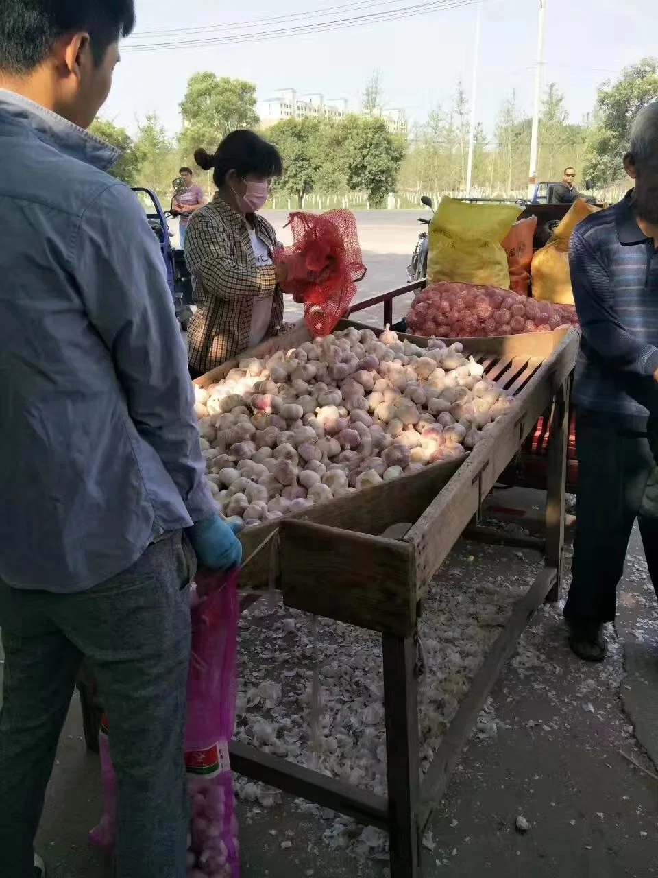 Qualidade alta importação fresca alho China embalagem de alho de alho