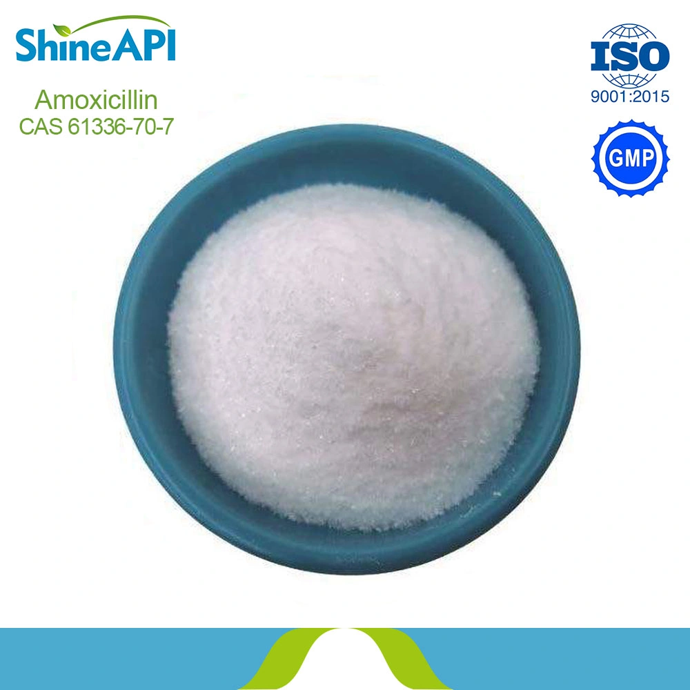 Antibiotic Raw Material CAS 61336-70-7 Amoxicillin Trihydrate Powder