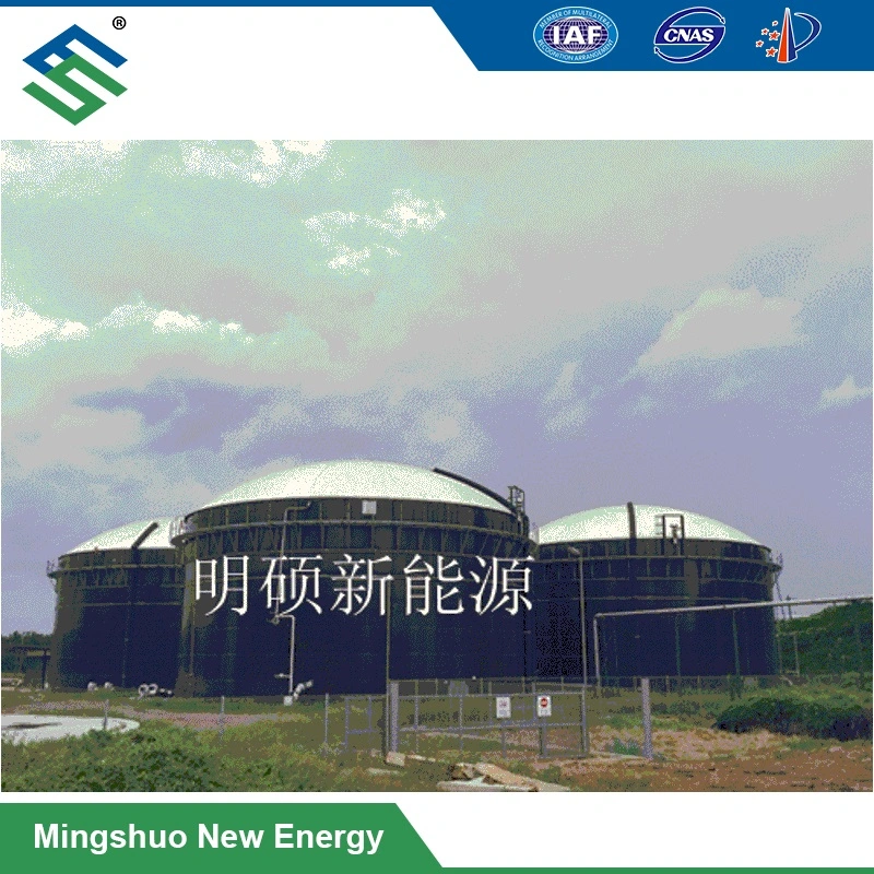 Anaerobic Digestier for Biogas Plant