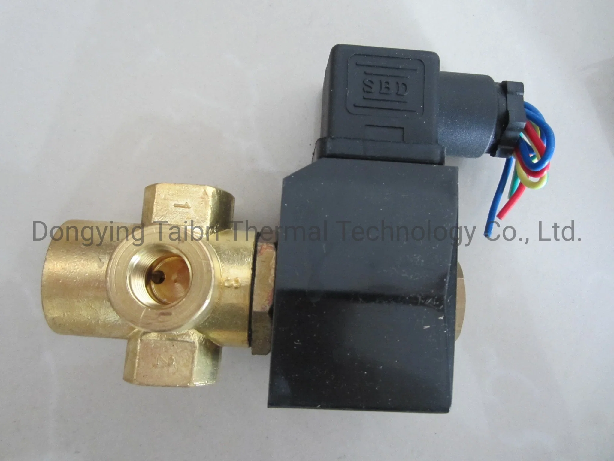 Normally Closed Solenoid Valve Water Valve, Fully Enclosed Coil, AC220V The Electromagnetic Valve Plastic Sealing Coil Air Valve