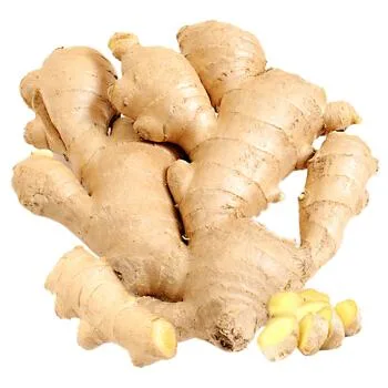 Chinese Fresh Spicy Mature Ginger Exported to European Market