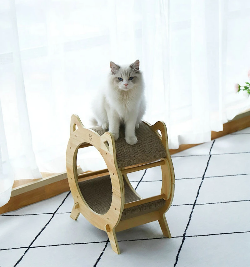 إطار تسلق متعدد الوظائف من Cat Tree مزدوج الطبقات مضلع Wbb19362